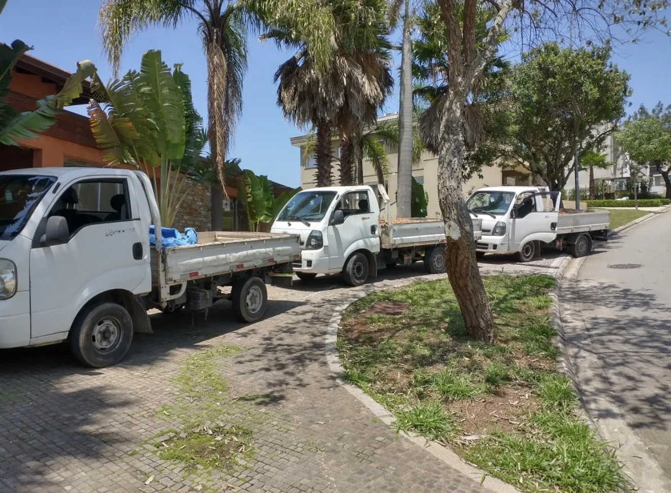 Frota RINO — caminhões Bongo prontos para retirada
