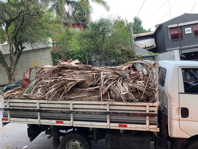 Retirada de restos de poda e materiais diversos
